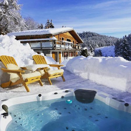 Appartement De Montagne Au Chalet De Snow Xonrupt-Longemer ภายนอก รูปภาพ