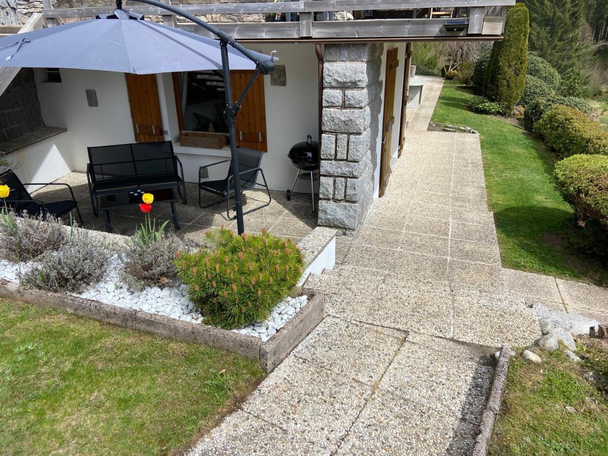 Appartement De Montagne Au Chalet De Snow Xonrupt-Longemer ภายนอก รูปภาพ